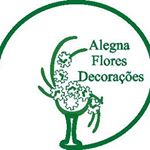 ALEGNA FLORES E DECORAES (Decorao)