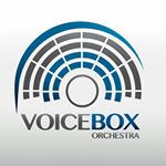 VOICE BOX (Músicos para Cerimônia)
